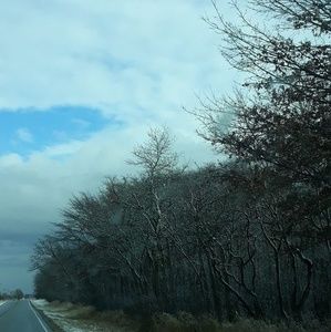 Meet your Posher, Rick